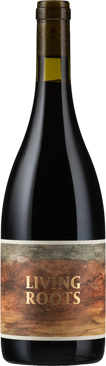 Living Roots  Tempranillo 2022 Adelaide Hills bottle